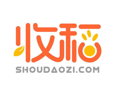 收稻網(wǎng)絡(luò)科技 立足上海，引領(lǐng)計(jì)算機(jī)軟硬件技術(shù)開發(fā)新篇章